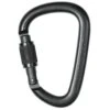 Petzl Mousqueton Grande Capacité WILLIAM SCREW-LOCK -Plein Air Équipement Magasin mousqueton grande capacite william screw lock 500 500 64320